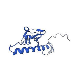 30137_7boz_p_v1-1
N-teminal of mature bacteriophage T7 tail fiber protein gp17