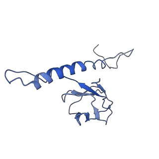 30137_7boz_q_v1-0
N-teminal of mature bacteriophage T7 tail fiber protein gp17