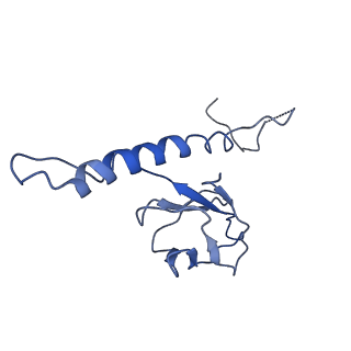 30137_7boz_q_v1-1
N-teminal of mature bacteriophage T7 tail fiber protein gp17