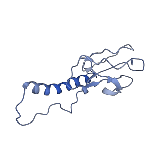 30137_7boz_r_v1-0
N-teminal of mature bacteriophage T7 tail fiber protein gp17