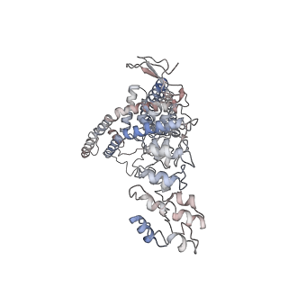 7118_6bo4_B_v1-2
Open state structure of the full-length TRPV2 cation channel with a resolved pore turret domain