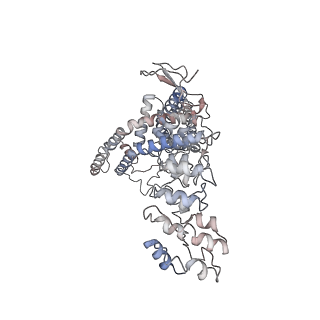 7118_6bo4_B_v1-3
Open state structure of the full-length TRPV2 cation channel with a resolved pore turret domain