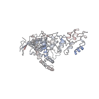 7118_6bo4_C_v1-3
Open state structure of the full-length TRPV2 cation channel with a resolved pore turret domain