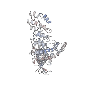 7118_6bo4_D_v1-2
Open state structure of the full-length TRPV2 cation channel with a resolved pore turret domain