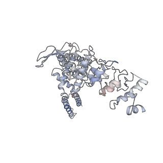 7119_6bo5_A_v1-2
TRPV2 ion channel in partially closed state