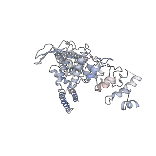 7119_6bo5_A_v1-3
TRPV2 ion channel in partially closed state