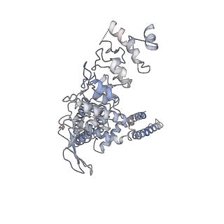 7119_6bo5_B_v1-2
TRPV2 ion channel in partially closed state
