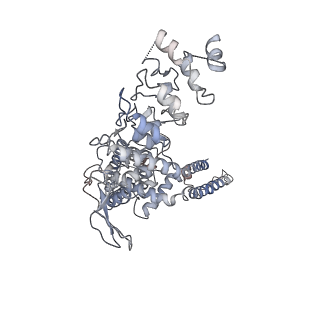 7119_6bo5_B_v1-3
TRPV2 ion channel in partially closed state