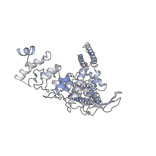 7119_6bo5_C_v1-2
TRPV2 ion channel in partially closed state