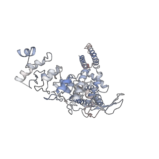 7119_6bo5_C_v1-3
TRPV2 ion channel in partially closed state