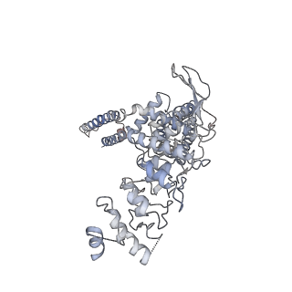 7119_6bo5_D_v1-2
TRPV2 ion channel in partially closed state