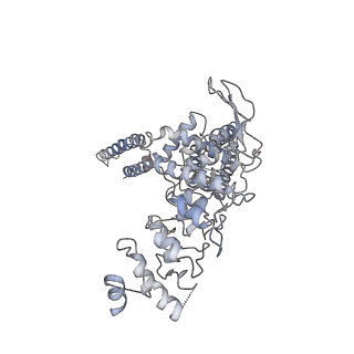 7119_6bo5_D_v1-3
TRPV2 ion channel in partially closed state