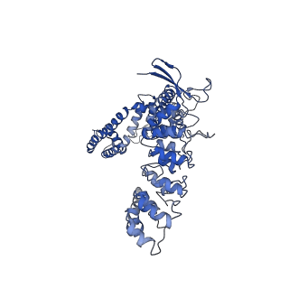 7120_6bo8_B_v1-6
Cryo-EM structure of human TRPV6 in nanodiscs