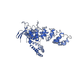 7120_6bo8_C_v1-5
Cryo-EM structure of human TRPV6 in nanodiscs