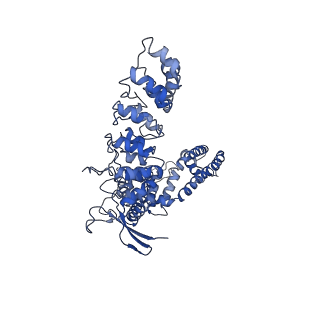 7120_6bo8_D_v1-5
Cryo-EM structure of human TRPV6 in nanodiscs