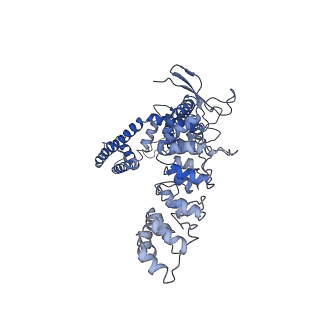 7121_6bo9_B_v1-5
Cryo-EM structure of human TRPV6 in amphipols