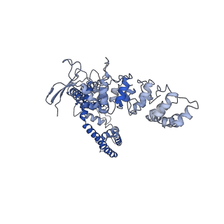 7121_6bo9_C_v1-5
Cryo-EM structure of human TRPV6 in amphipols