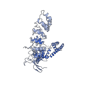 7121_6bo9_D_v1-5
Cryo-EM structure of human TRPV6 in amphipols