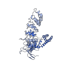 7121_6bo9_D_v1-6
Cryo-EM structure of human TRPV6 in amphipols