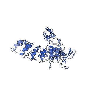 7122_6boa_A_v1-5
Cryo-EM structure of human TRPV6-R470E in amphipols