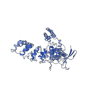 7122_6boa_A_v1-6
Cryo-EM structure of human TRPV6-R470E in amphipols