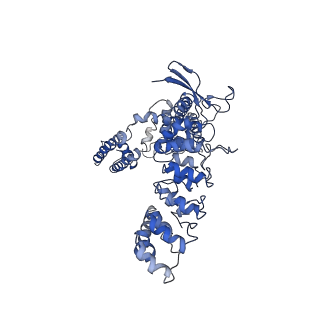 7122_6boa_B_v1-5
Cryo-EM structure of human TRPV6-R470E in amphipols
