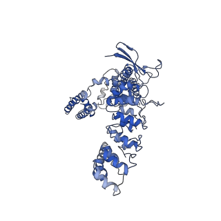 7122_6boa_B_v1-6
Cryo-EM structure of human TRPV6-R470E in amphipols