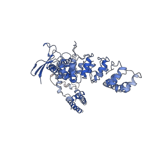 7122_6boa_C_v1-5
Cryo-EM structure of human TRPV6-R470E in amphipols