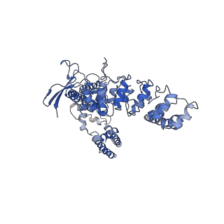 7122_6boa_C_v1-6
Cryo-EM structure of human TRPV6-R470E in amphipols