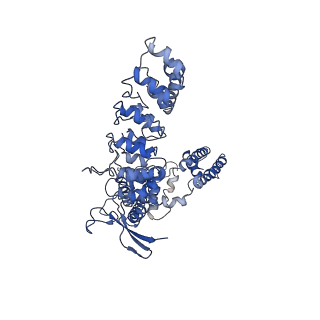 7122_6boa_D_v1-5
Cryo-EM structure of human TRPV6-R470E in amphipols