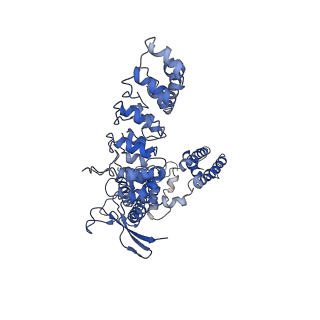 7122_6boa_D_v1-6
Cryo-EM structure of human TRPV6-R470E in amphipols