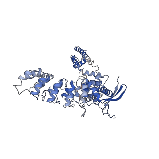 7123_6bob_A_v1-5
Cryo-EM structure of rat TRPV6* in nanodiscs