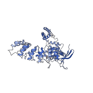 7123_6bob_A_v1-6
Cryo-EM structure of rat TRPV6* in nanodiscs