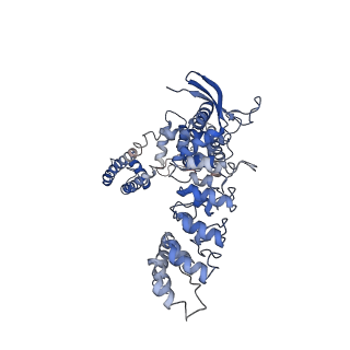 7123_6bob_B_v1-5
Cryo-EM structure of rat TRPV6* in nanodiscs