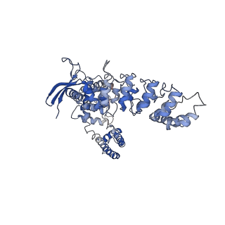 7123_6bob_C_v1-5
Cryo-EM structure of rat TRPV6* in nanodiscs