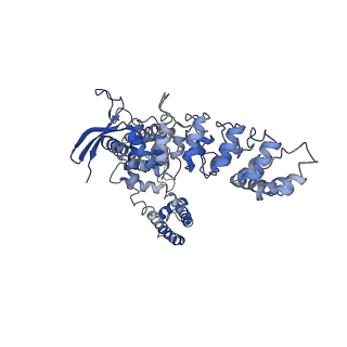7123_6bob_C_v1-6
Cryo-EM structure of rat TRPV6* in nanodiscs