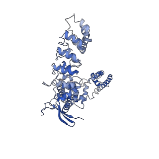 7123_6bob_D_v1-5
Cryo-EM structure of rat TRPV6* in nanodiscs