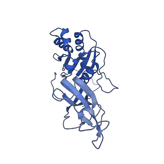 16146_8bp8_D_v1-2
SPA of Trypsin untreated Rotavirus TLP spike