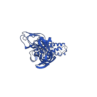 16146_8bp8_d_v1-2
SPA of Trypsin untreated Rotavirus TLP spike
