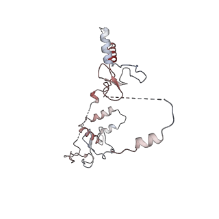 16147_8bpa_C_v1-0
Cryo-EM structure of the human SIN3B histone deacetylase complex at 3.7 Angstrom