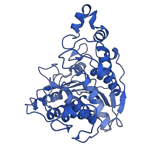 16148_8bpb_B_v1-0
Cryo-EM structure of the human SIN3B histone deacetylase core complex at 2.8 Angstrom