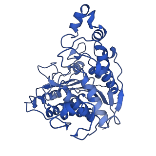 16148_8bpb_B_v1-1
Cryo-EM structure of the human SIN3B histone deacetylase core complex at 2.8 Angstrom