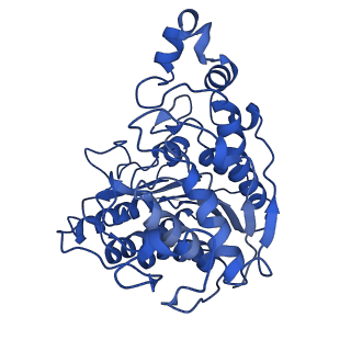 16149_8bpc_B_v1-1
Cryo-EM structure of the human SIN3B histone deacetylase core complex with SAHA at 2.8 Angstrom