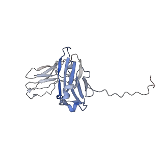 16150_8bpe_A_v1-3
8:1 binding of FcMR on IgM pentameric core