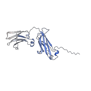 16150_8bpe_C_v1-3
8:1 binding of FcMR on IgM pentameric core