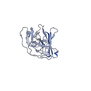 16150_8bpe_E_v1-3
8:1 binding of FcMR on IgM pentameric core