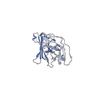 16150_8bpe_F_v1-3
8:1 binding of FcMR on IgM pentameric core