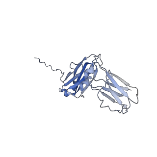 16150_8bpe_G_v1-3
8:1 binding of FcMR on IgM pentameric core