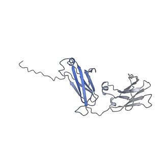 16150_8bpe_H_v1-3
8:1 binding of FcMR on IgM pentameric core