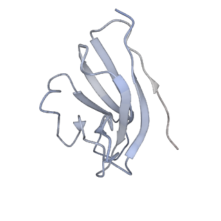 16150_8bpe_I_v1-3
8:1 binding of FcMR on IgM pentameric core